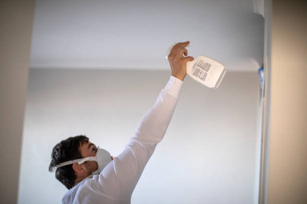 Best Certified Mold Removal  in Perry, IA