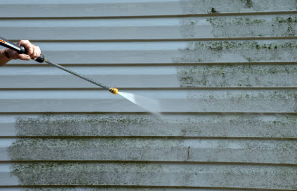 Mold Removal and Inspection in Perry, IA