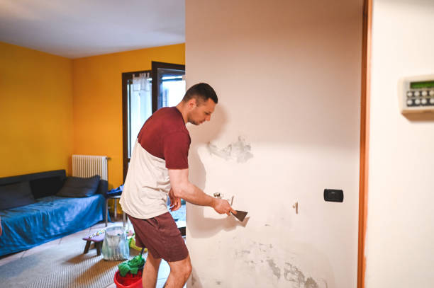 Best Local Mold Removal Service  in Perry, IA